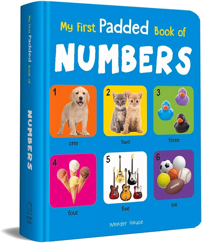Numbers First Padded Board book